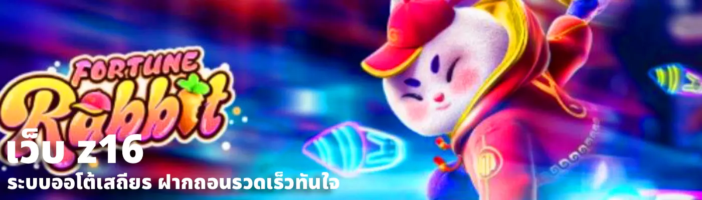เว็บ z16