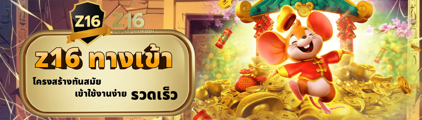 z16 ทางเข้า